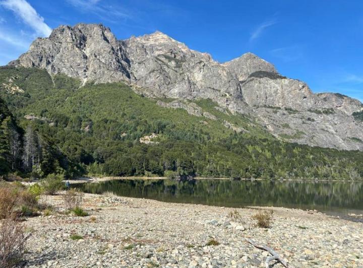Venta 7 casas c/ Costa de Lago Moreno 5has bosque nativo Circuito Chico 3