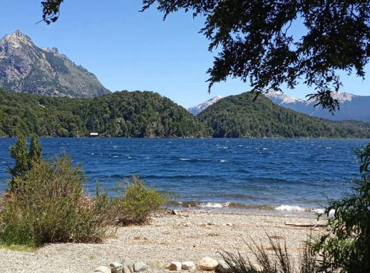 Venta 7 casas c/ Costa de Lago Moreno 5has bosque nativo Circuito Chico 4