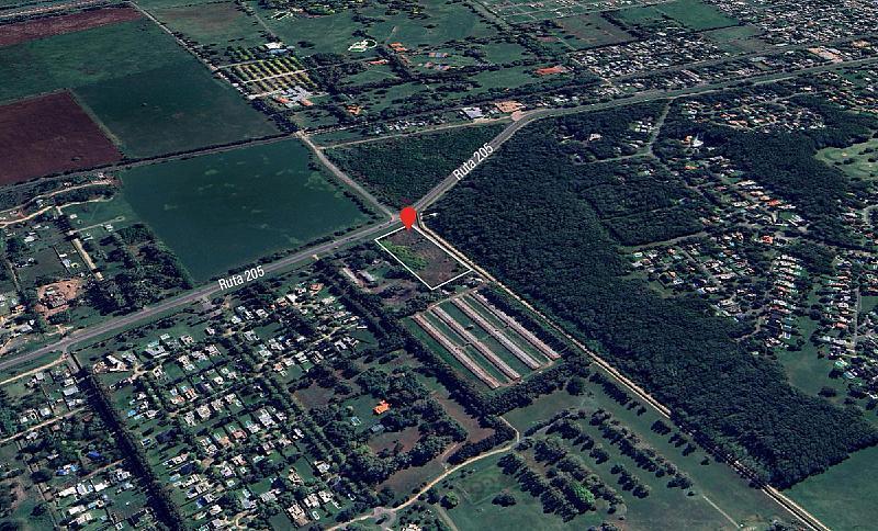 Excelente fracción de terreno de 15.200m2 sobre Ruta 205 - Cañuelas