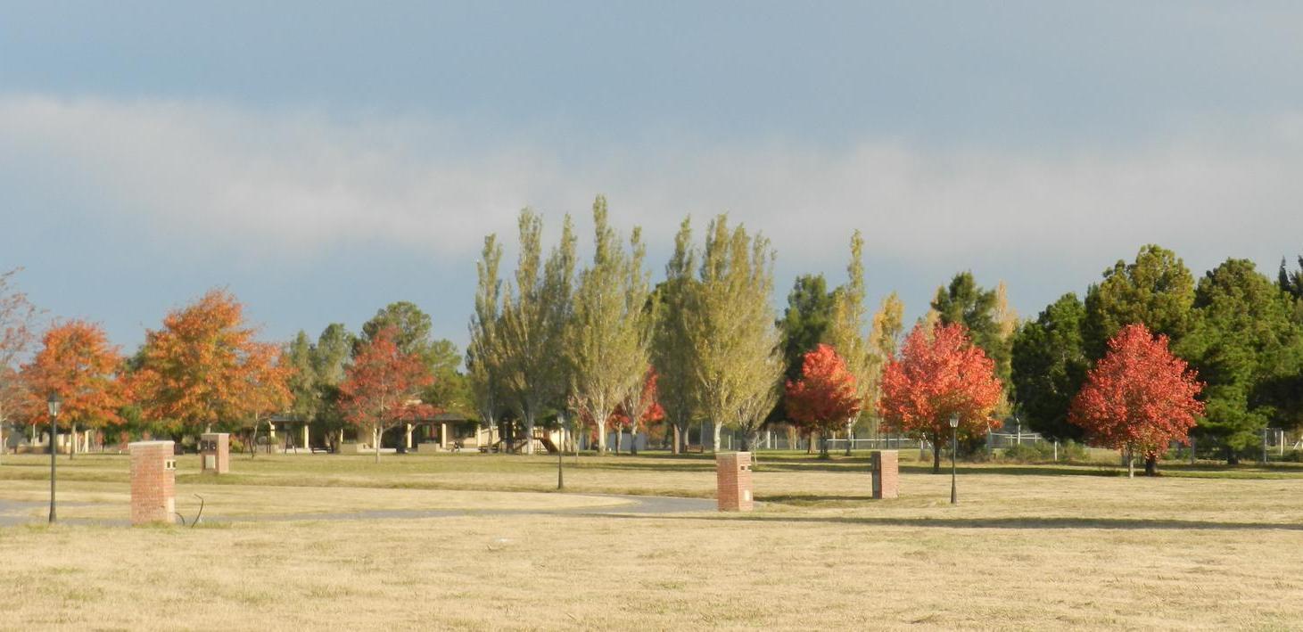 Mirabosques