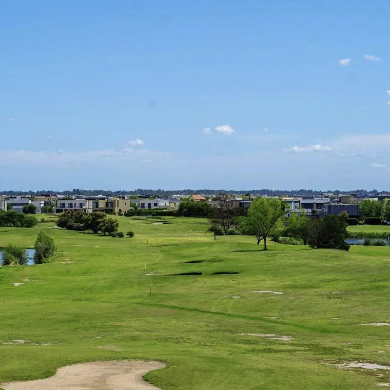 Palmera Golf 5