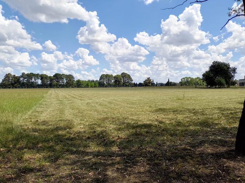 Lote en venta de 1 hectárea en Estancia de La Macarena.