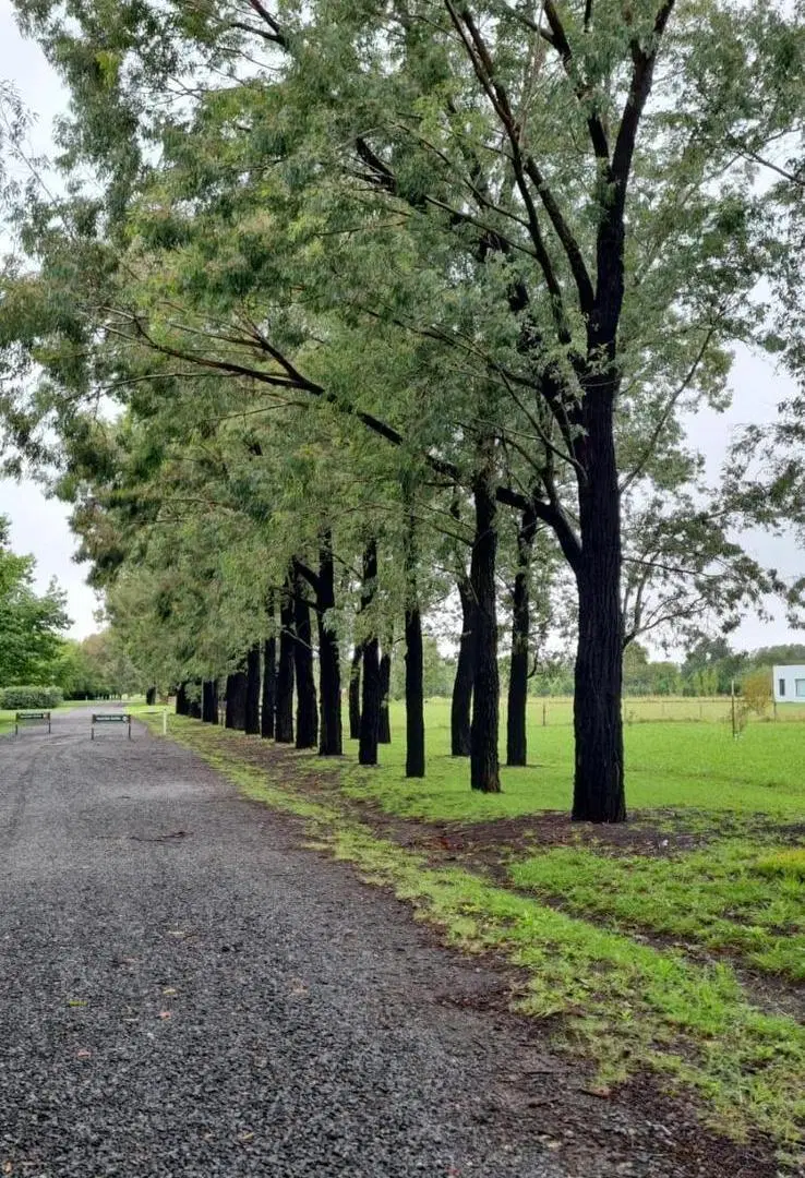 Lote en venta de 1 hectárea en Estancia de La Macarena. 4