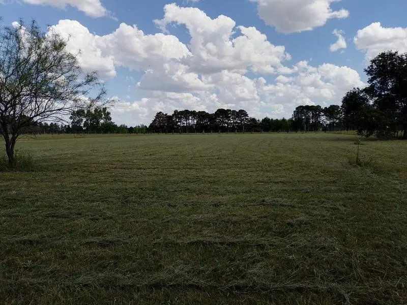 Lote en venta de 1 hectárea en Estancia de La Macarena. 2