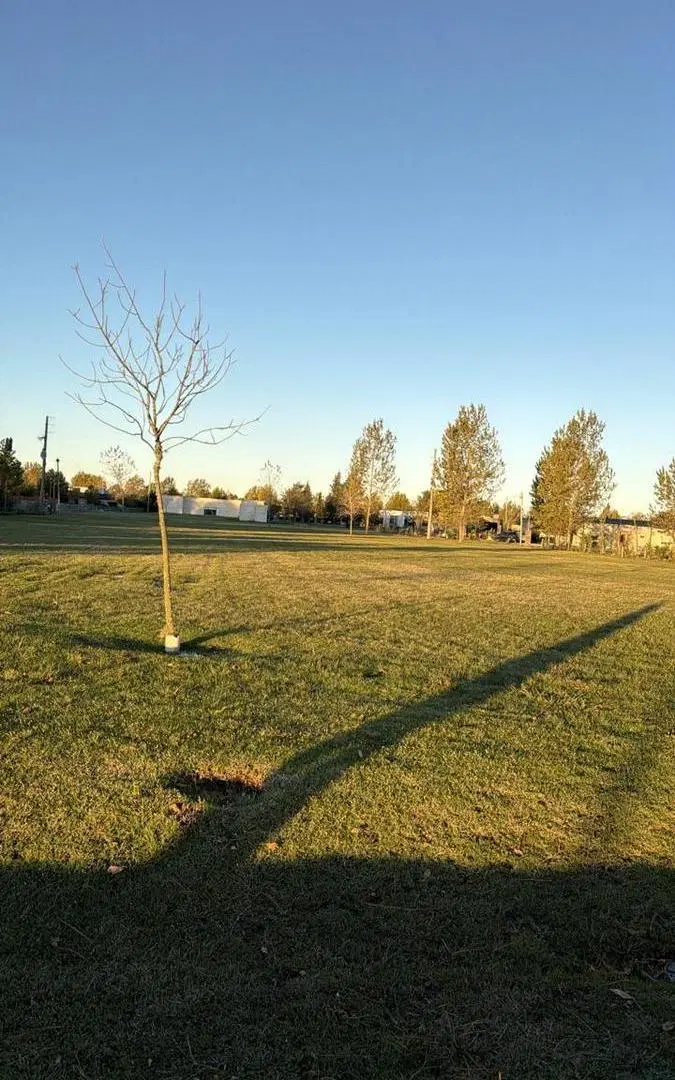 Lote en oportunidad en Fincas II, Sporting Club, Fincas de San Vicente. 1
