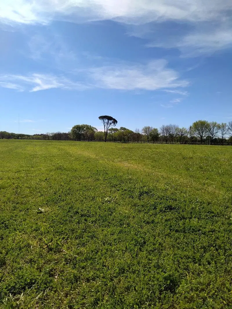OPORTUNIDAD! Lote de 3899 m2 en sector Los Álamos, Estancia Villa María. Ezeiza-Cañuelas. 5