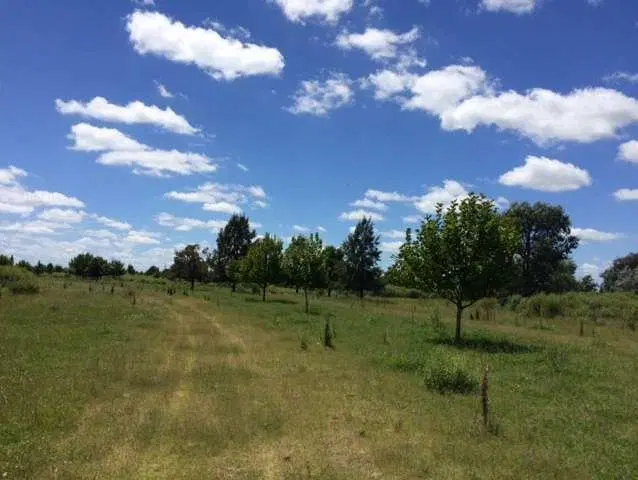 Lote en venta en Los Cardales 3