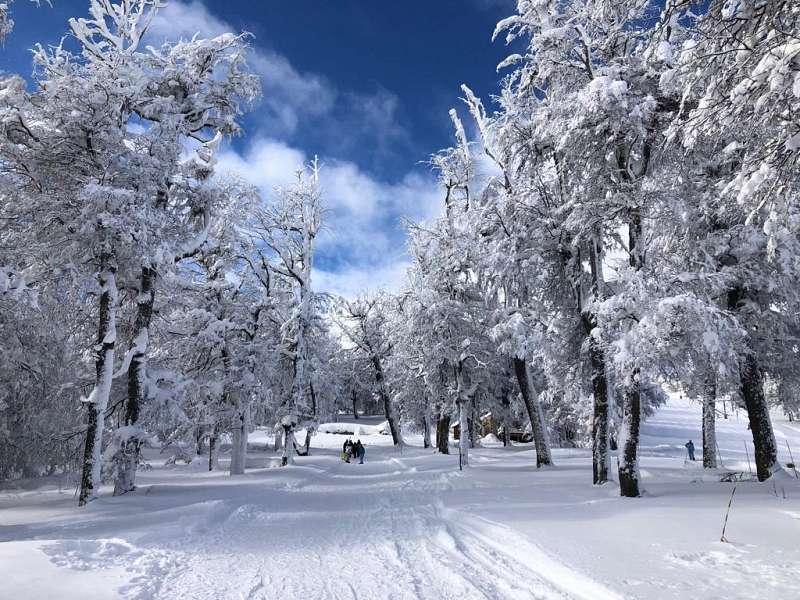 Foto de Ruta 19, acceso cerro Chapelco PB A M8, imagen 4