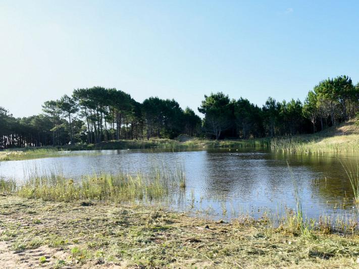 Foto de Northbeach Lotes, imagen 3