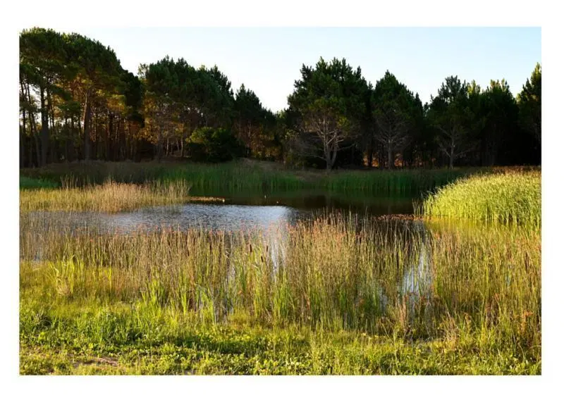 NORTHBEACH LOTES en Pinamar Venta 8