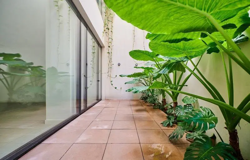 Departamento Venta Recoleta Monoambiente con patio c/opción a dos ambientes. 2