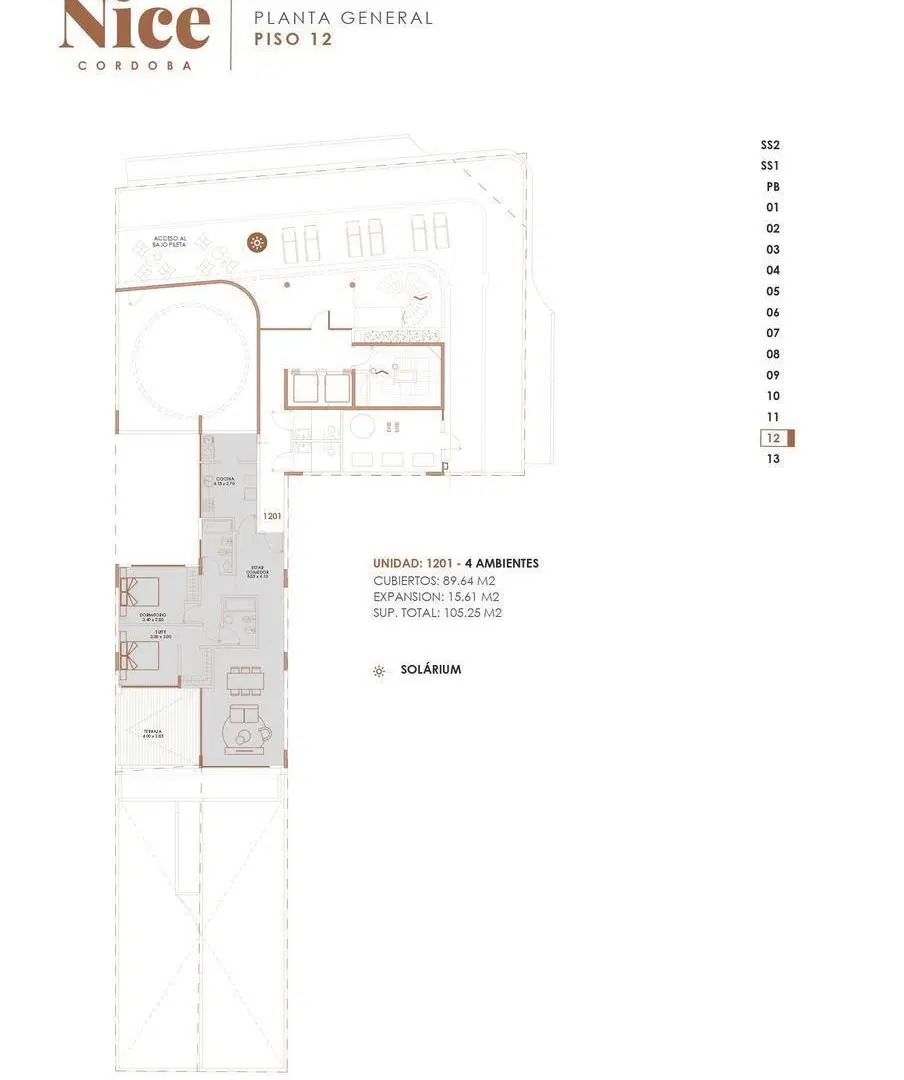 Plano 7