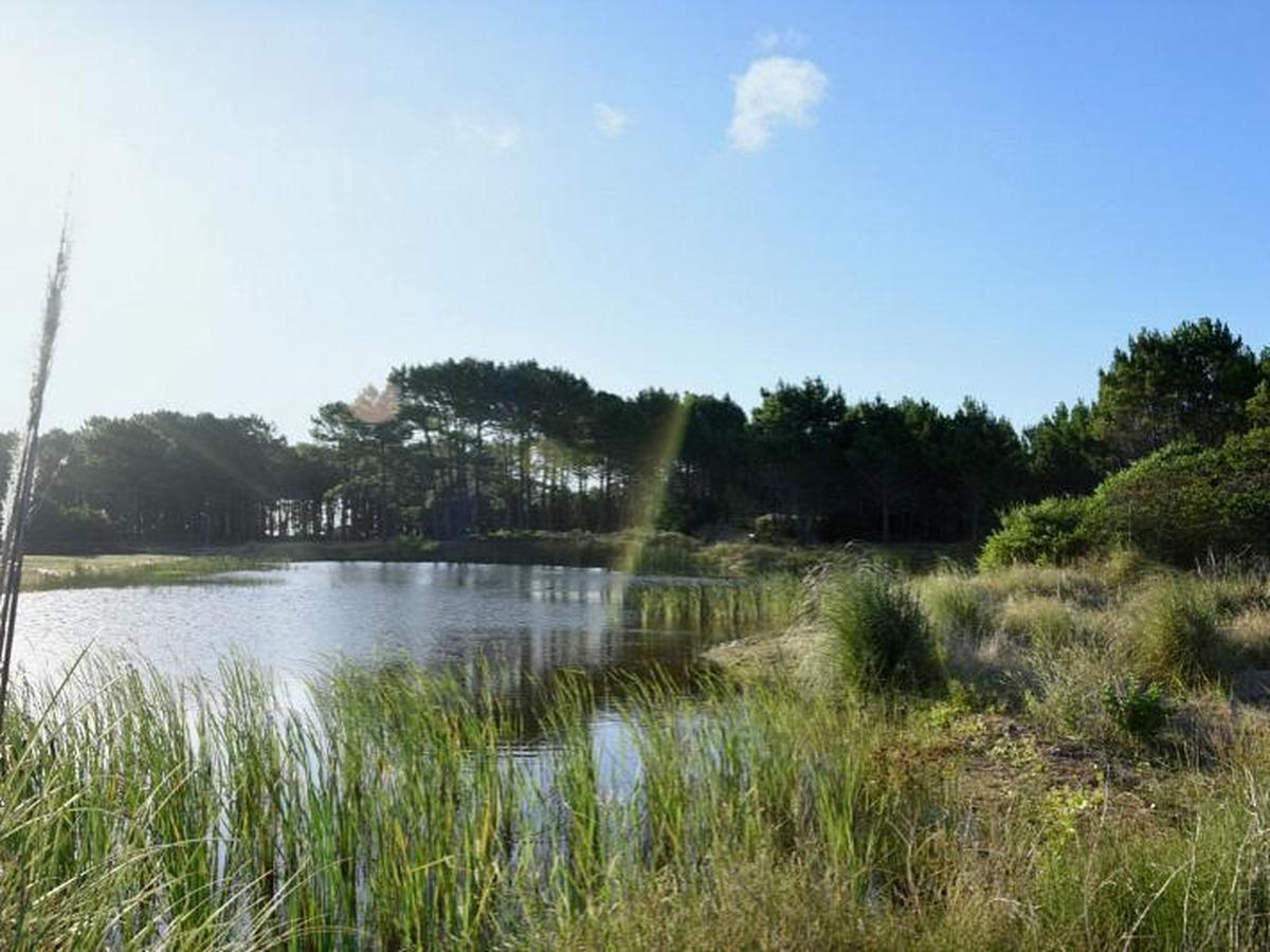 Foto de Lote en venta en Northbeach, imagen 4