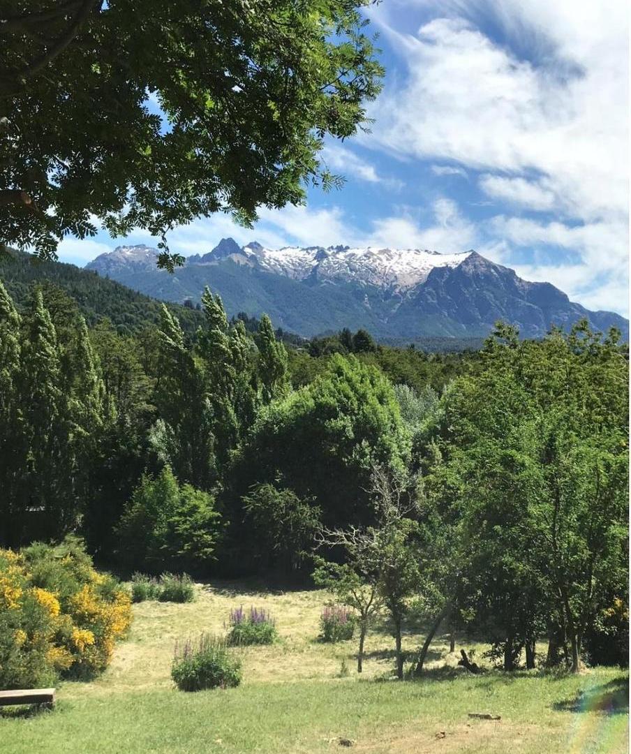 Foto de Venta Excelente casa en una planta sobre terreno parquizado 4896m2 en, imagen 4