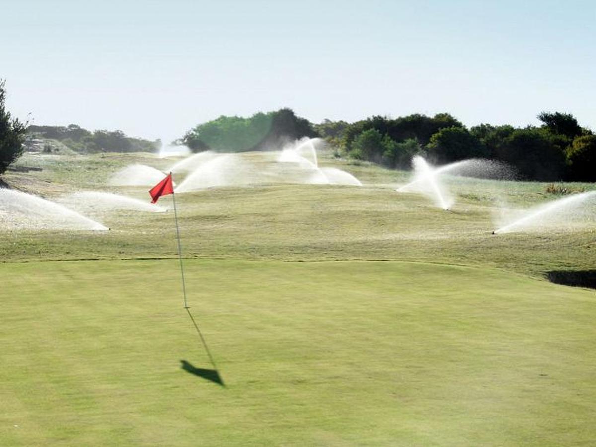 Foto de Northbeach Lotes, imagen 4