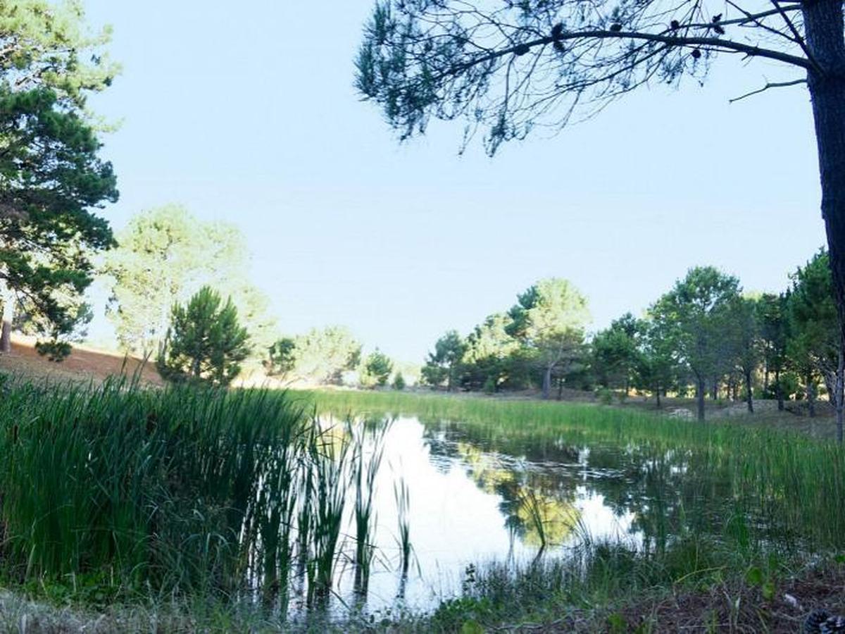 Foto de Northbeach Lotes, imagen 3