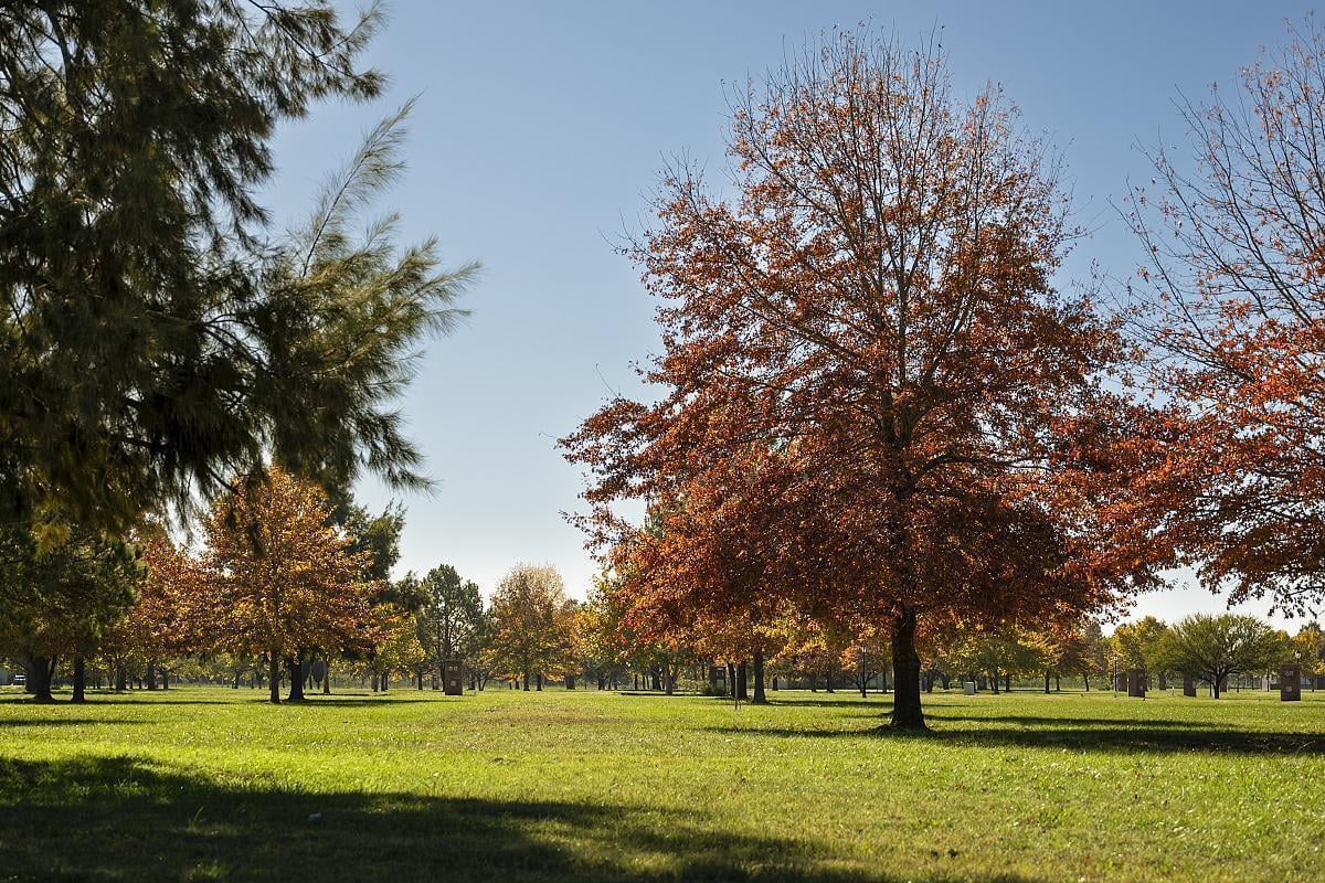 Foto de Lote en venta en Los Cardales, imagen 2