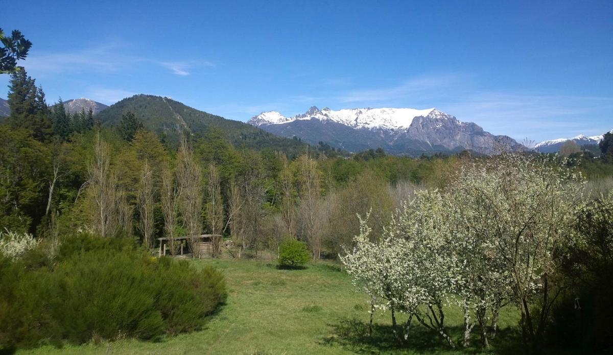 Foto de Venta Excelente casa en una planta sobre terreno parquizado 4896m2 en, imagen 2