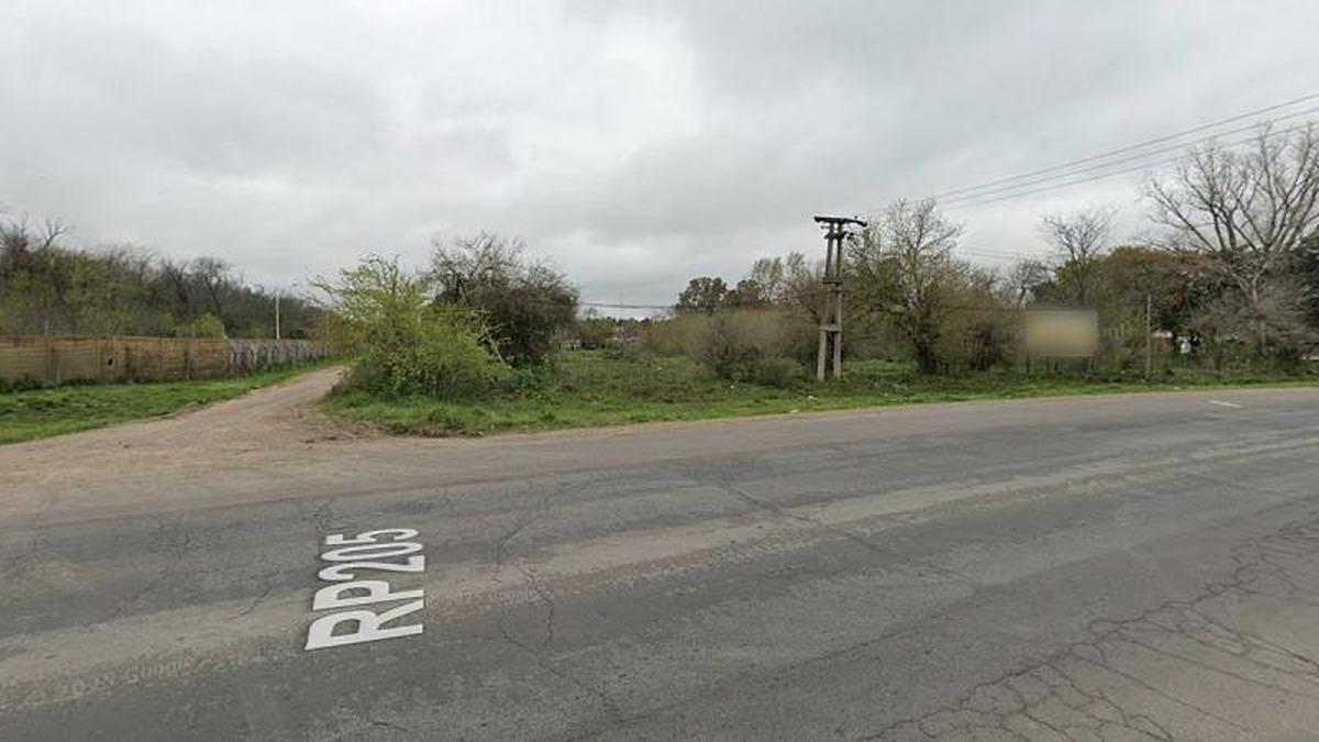 Foto de Excelente fracción de terreno de 15.200m2 sobre Ruta 205 - Cañuelas, imagen 3