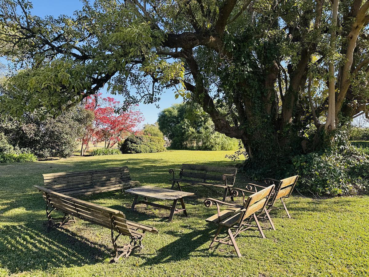Foto de Casa en venta en Ayres de Pilar en doble lote., imagen 5