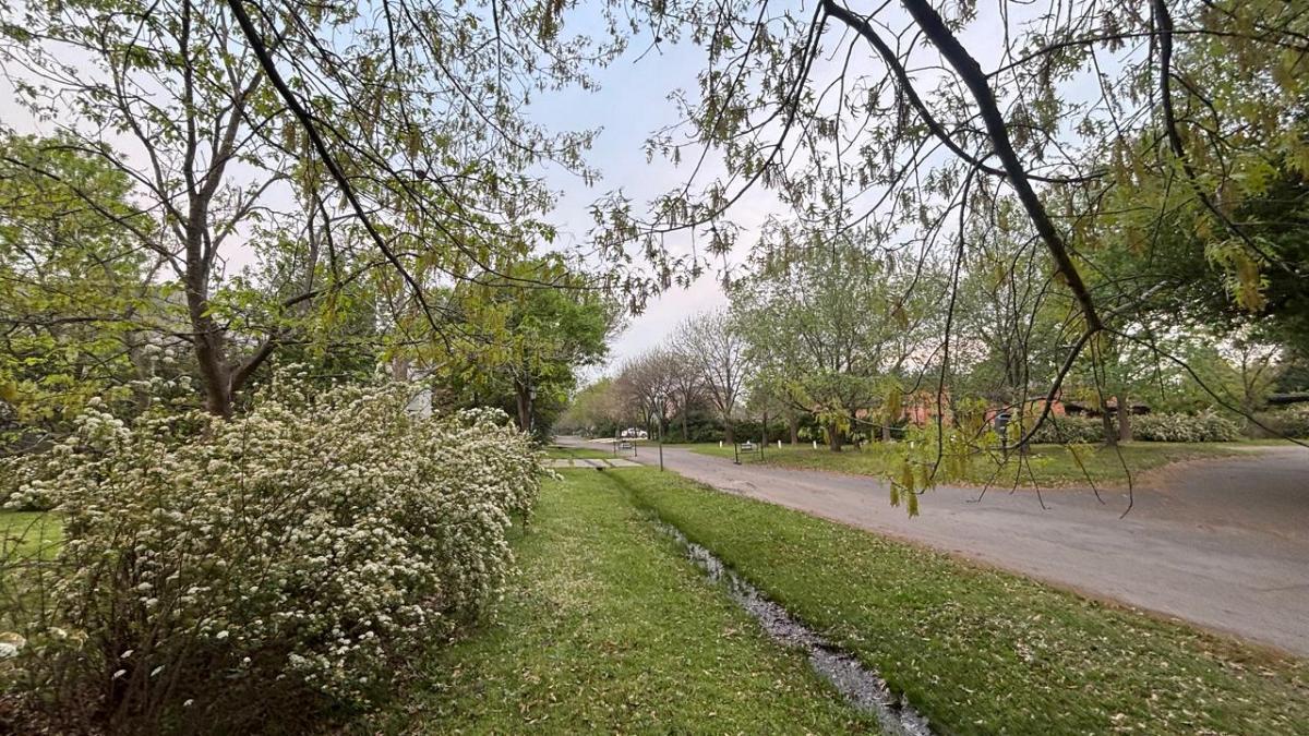 Foto de Lote en venta con vista al campo, imagen 4