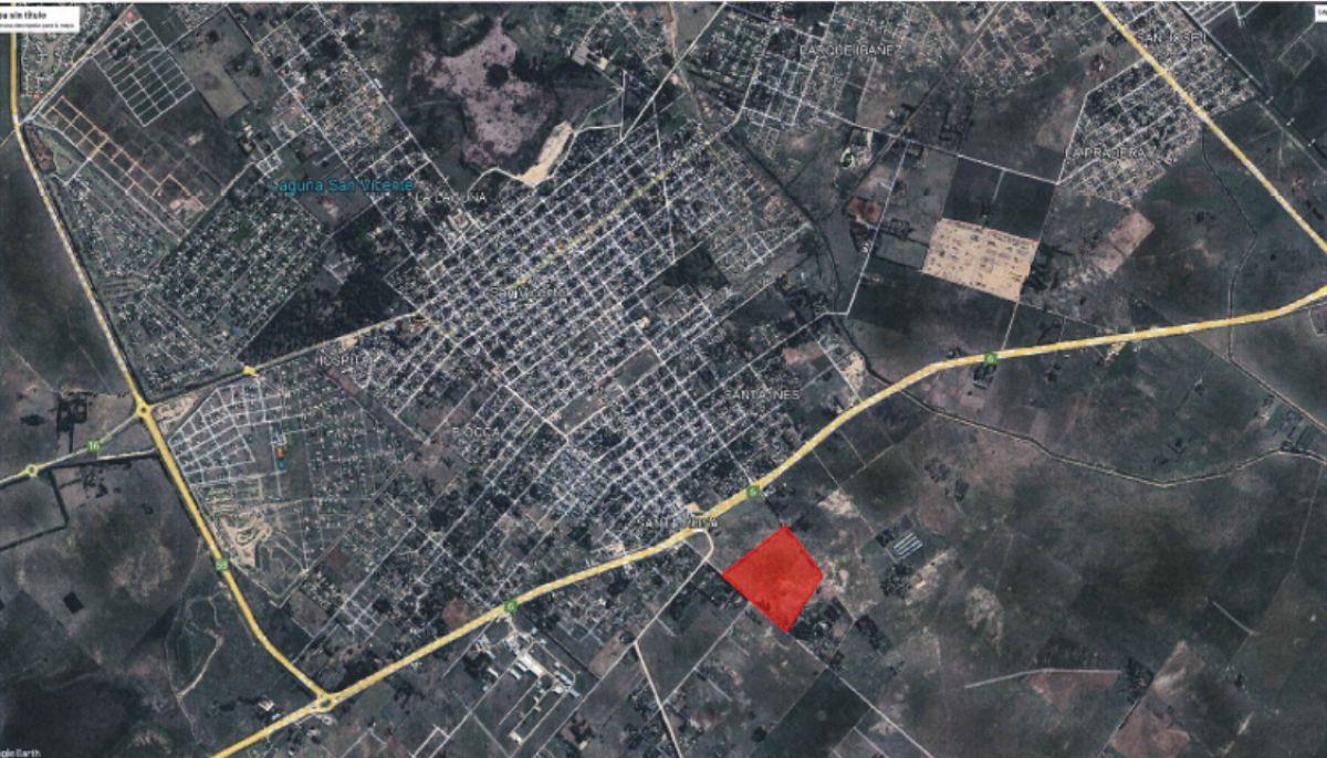 Foto de Campo de 33.5 has en San Vicente,a 300 m de Ruta 6. IDEAL desarrollo, imagen 2