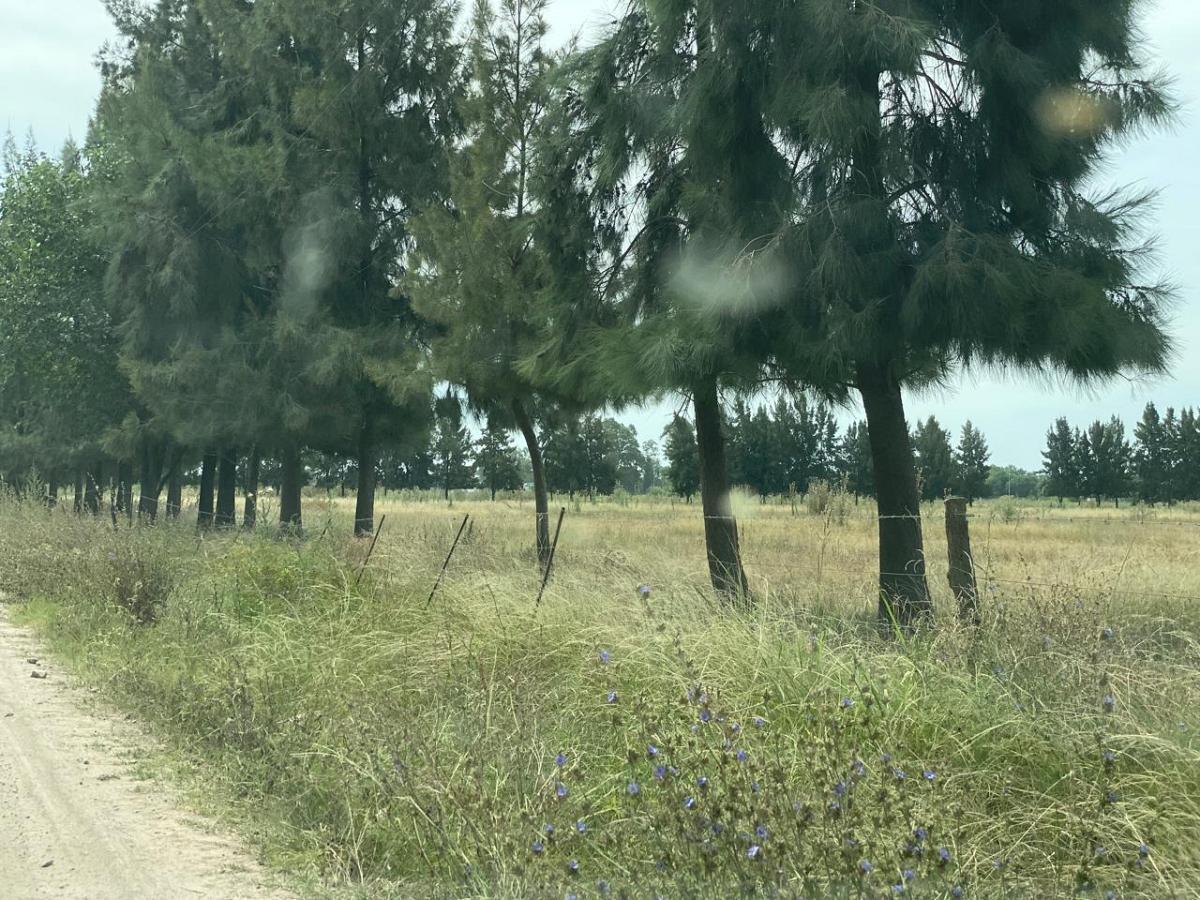 Foto de Campo de 33.5 has en San Vicente,a 300 m de Ruta 6. IDEAL desarrollo, imagen 4