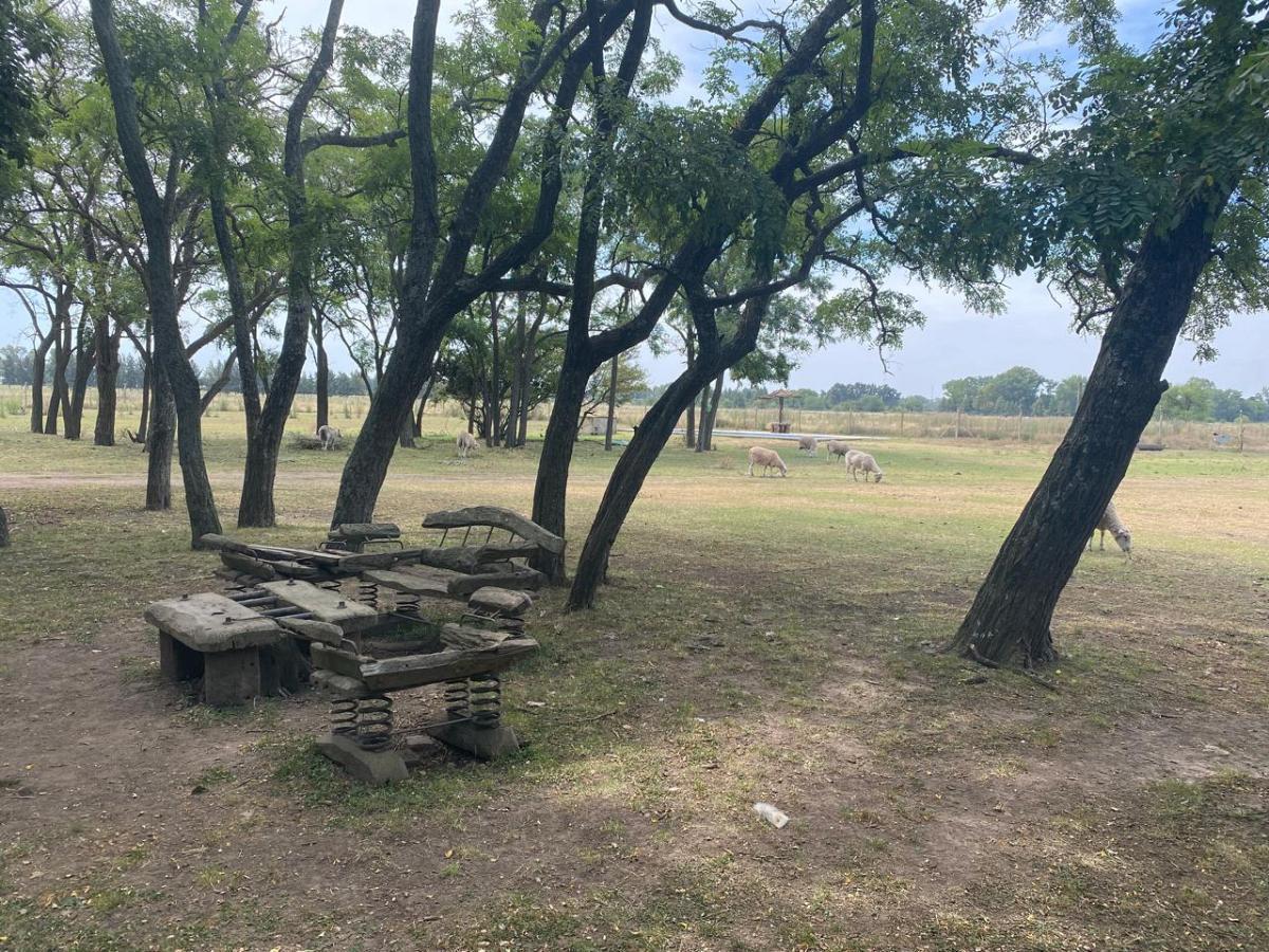Foto de Campo de 33.5 has en San Vicente,a 300 m de Ruta 6. IDEAL desarrollo, imagen 5