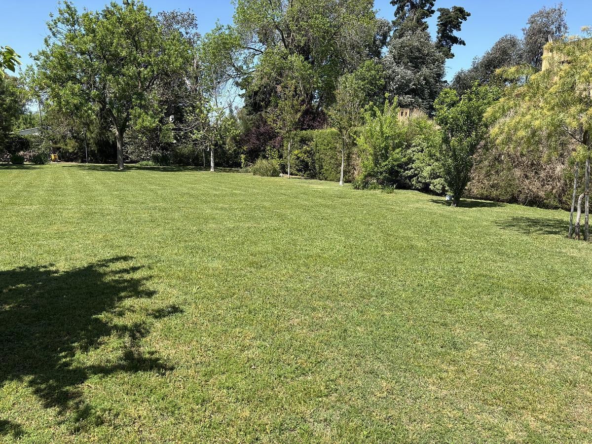 Foto de Excelente lote en venta, imagen 3