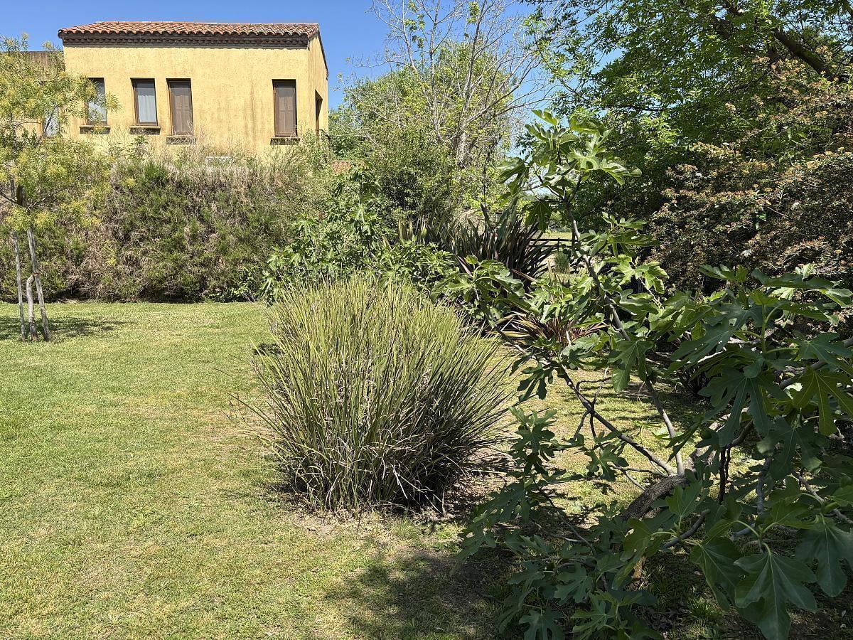 Foto de Excelente lote en venta, imagen 2