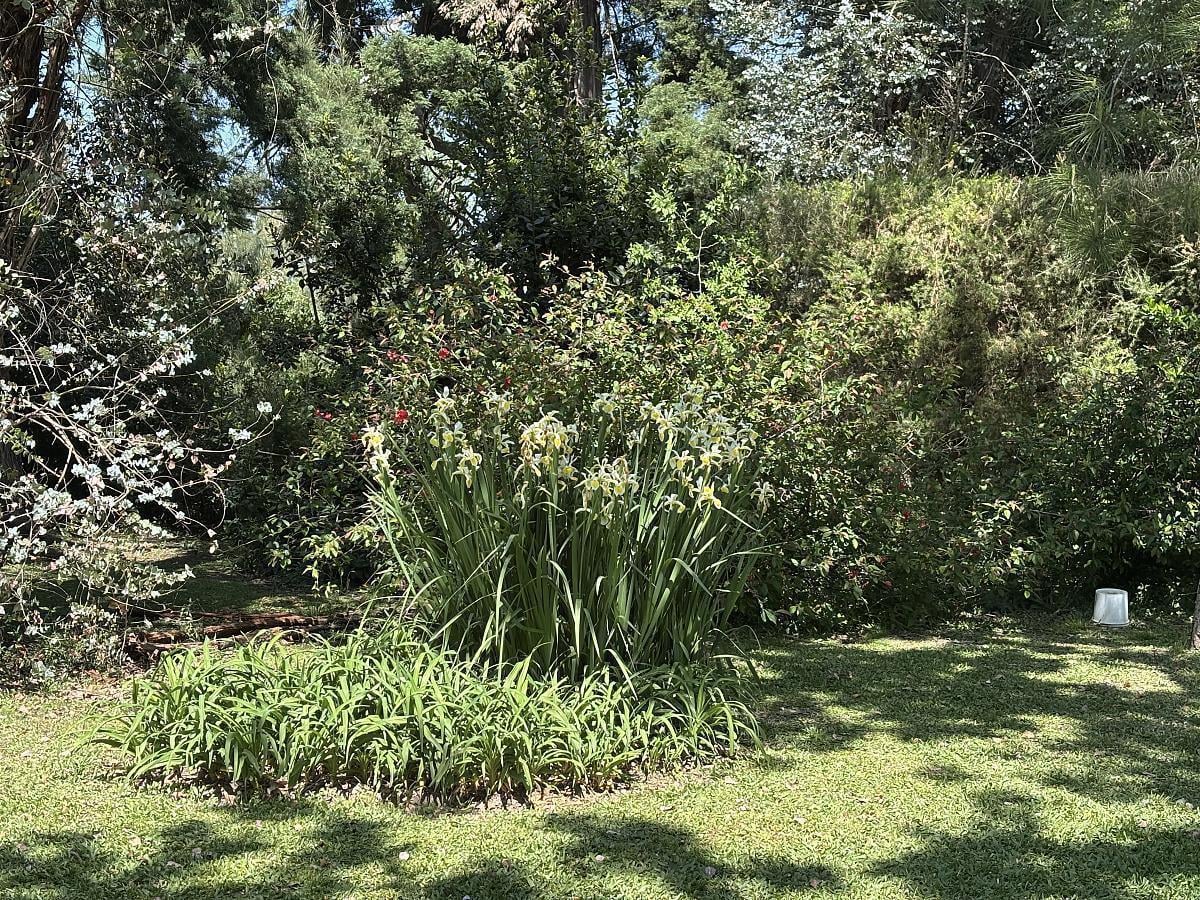 Foto de Excelente lote en venta, imagen 1