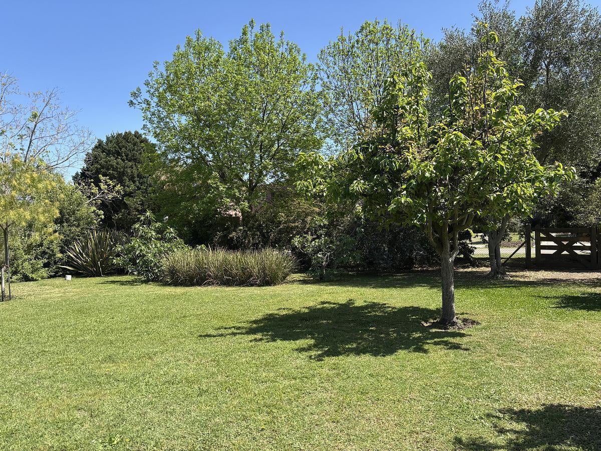 Foto de Excelente lote en venta, imagen 4