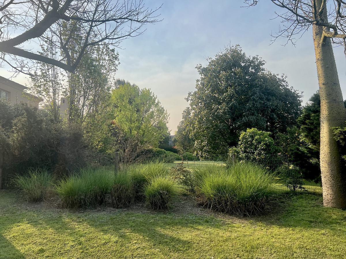 Foto de Lote UNICO en VENTA EN AYRES DE PILAR de 912 m2, imagen 4