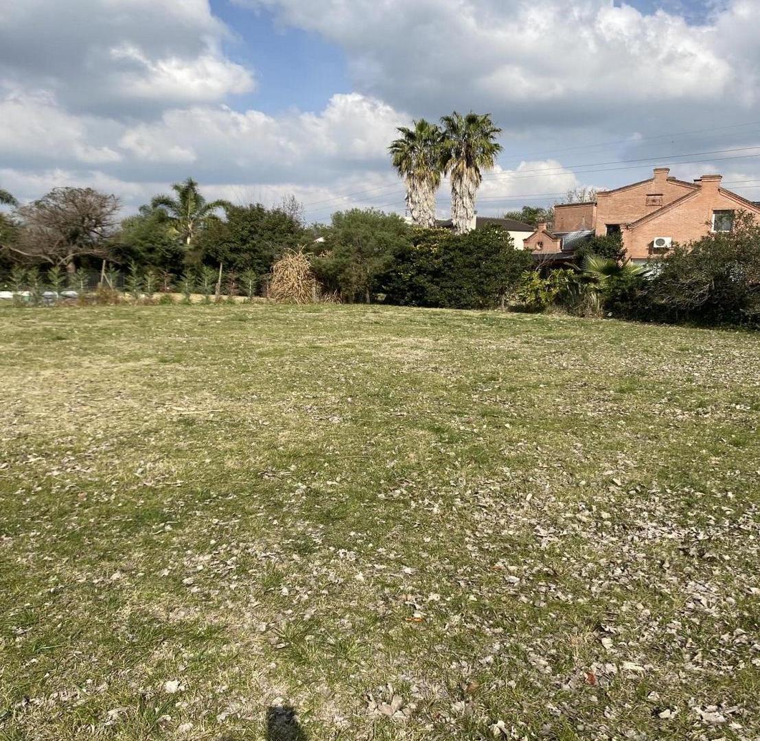 Foto de Campo Grande S/N, imagen 2
