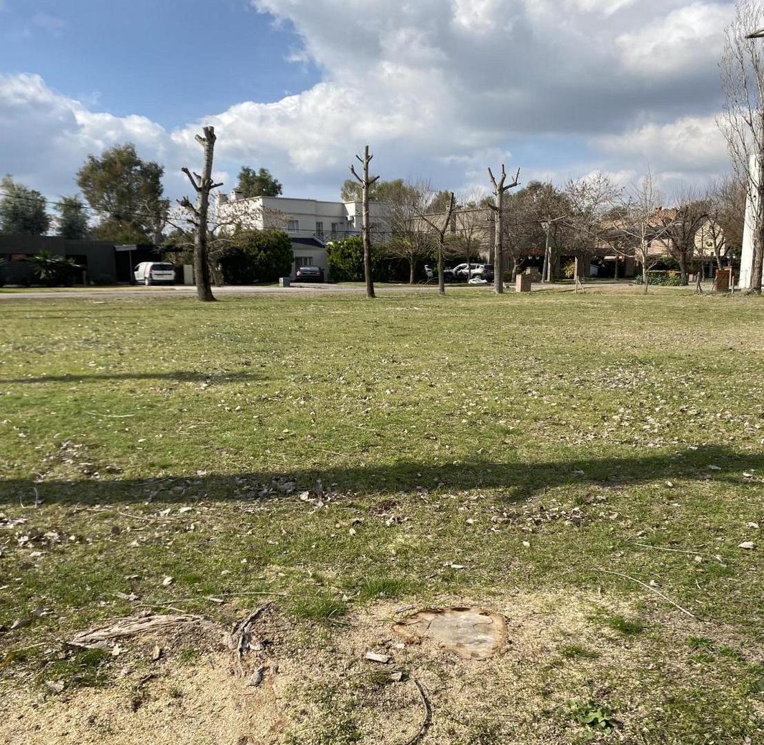 Foto de Campo Grande S/N, imagen 4