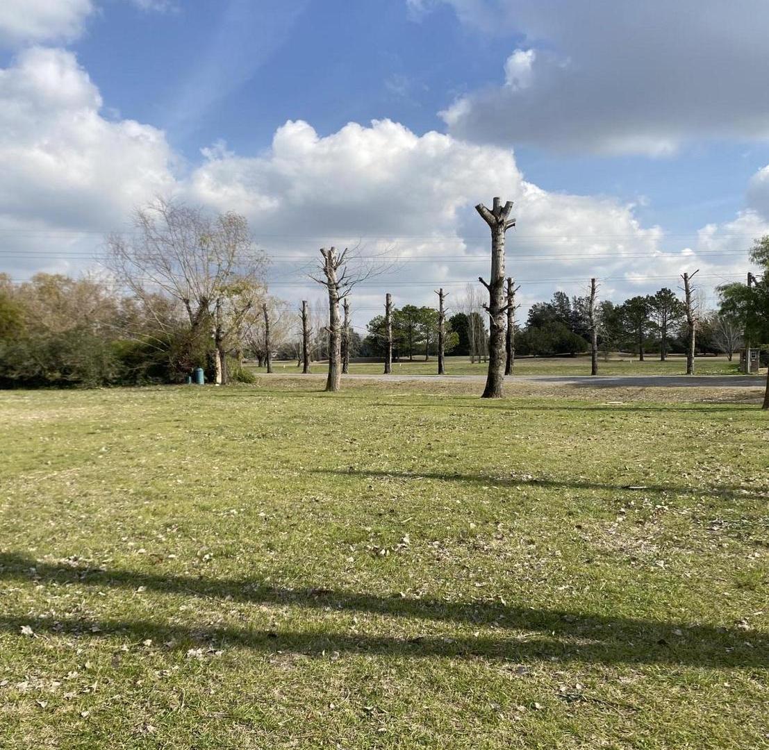 Foto de Campo Grande S/N, imagen 1