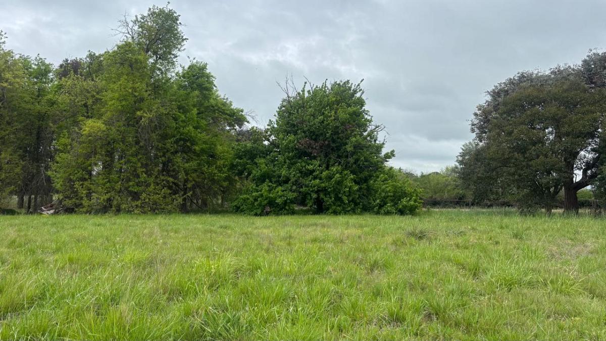 Foto de excelente lote en venta en Club de campo la ranita, imagen 5