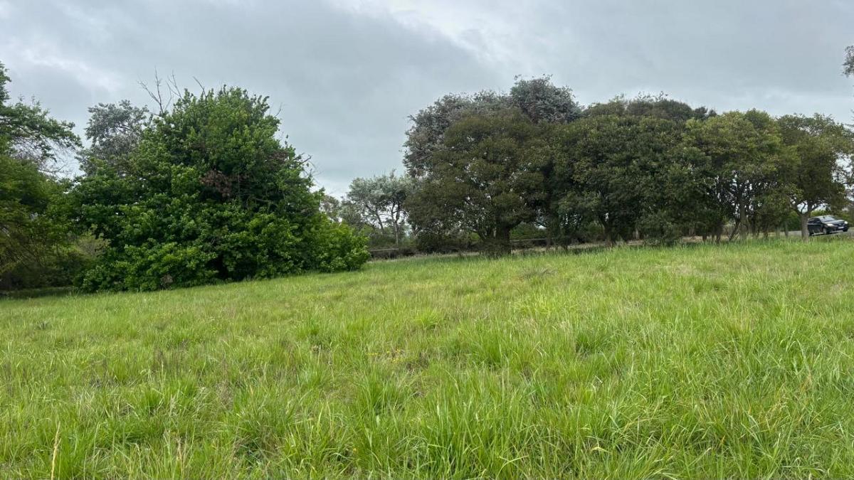 Foto de excelente lote en venta en Club de campo la ranita, imagen 4