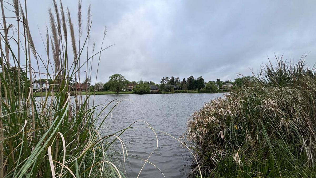 Foto de Excelente lote en venta, imagen 3