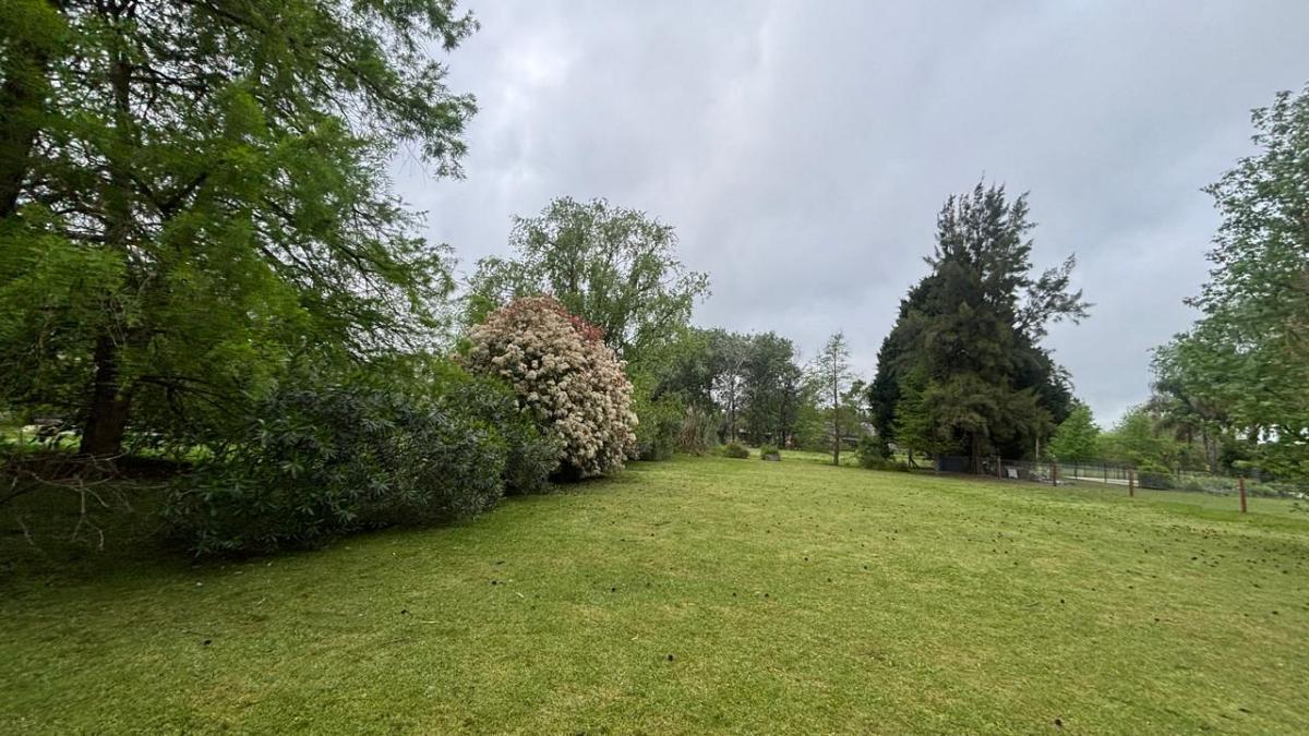 Foto de Excelente lote en venta, imagen 5