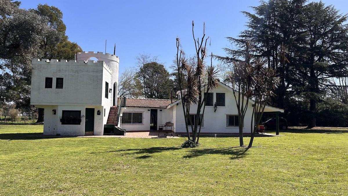 Quinta. La araucaria. Lobos.
