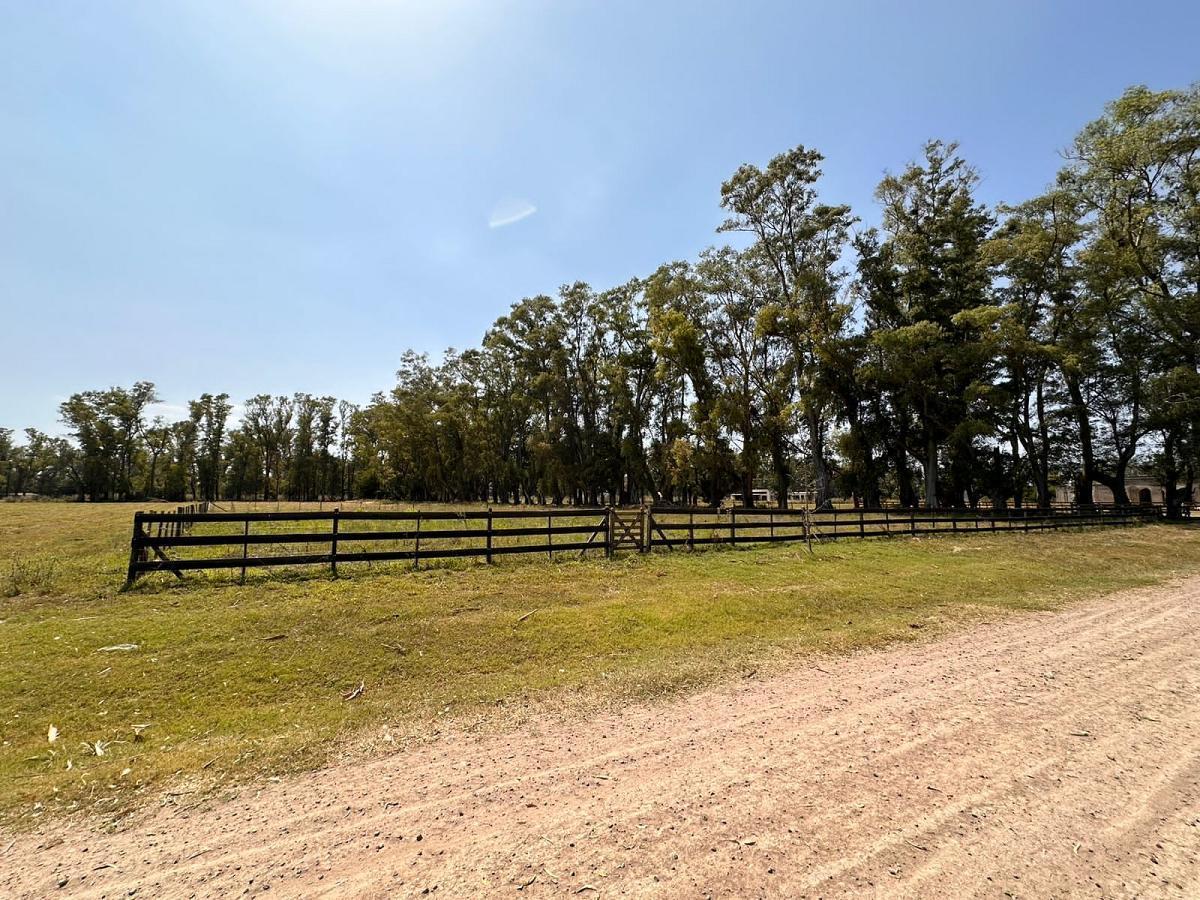 Foto de Venta lote Chacras San Andrés Villa Ruiz San Andrés de Giles General, imagen 4