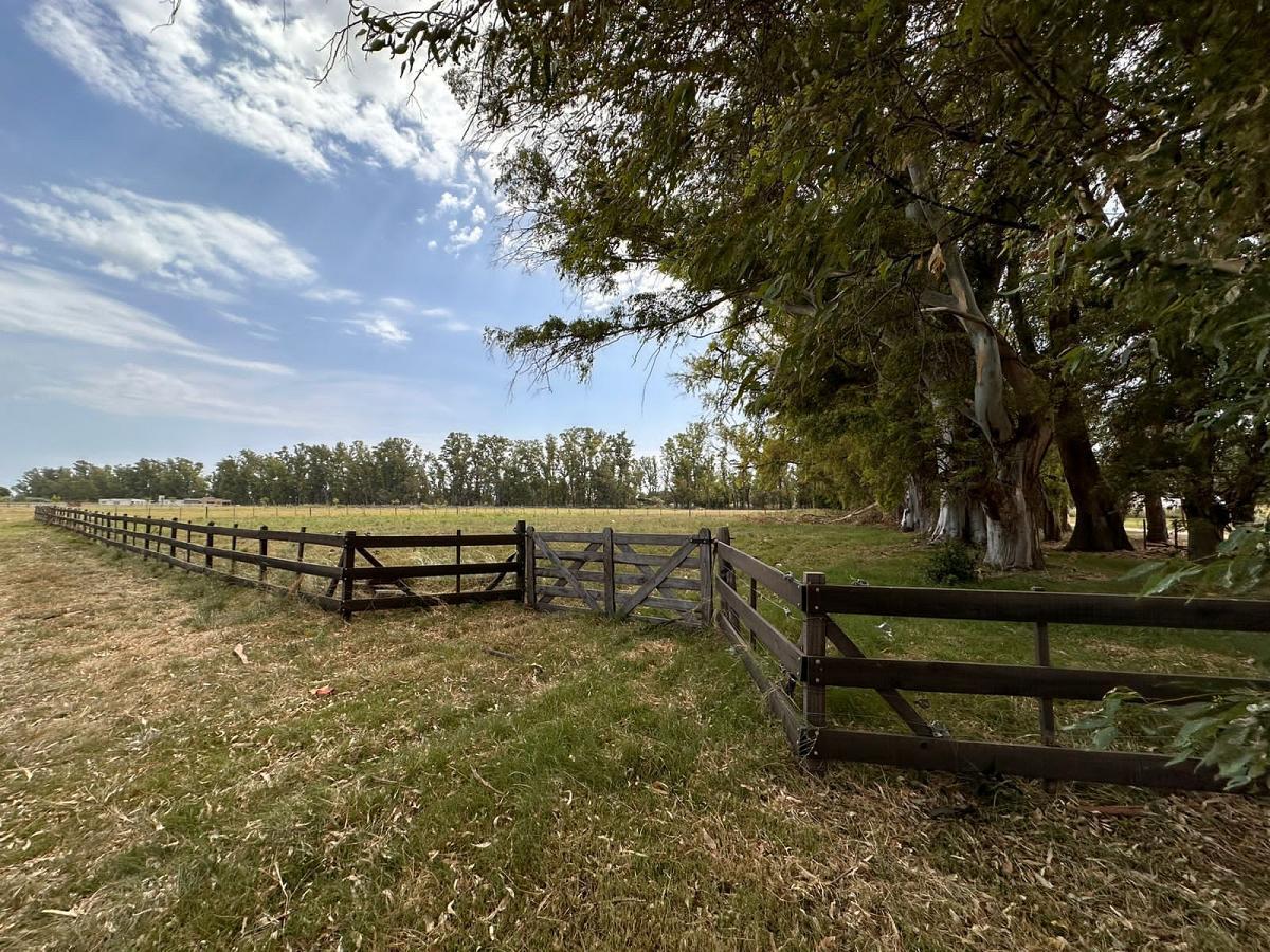 Foto de Venta lote Chacras San Andrés Villa Ruiz San Andrés de Giles General, imagen 3
