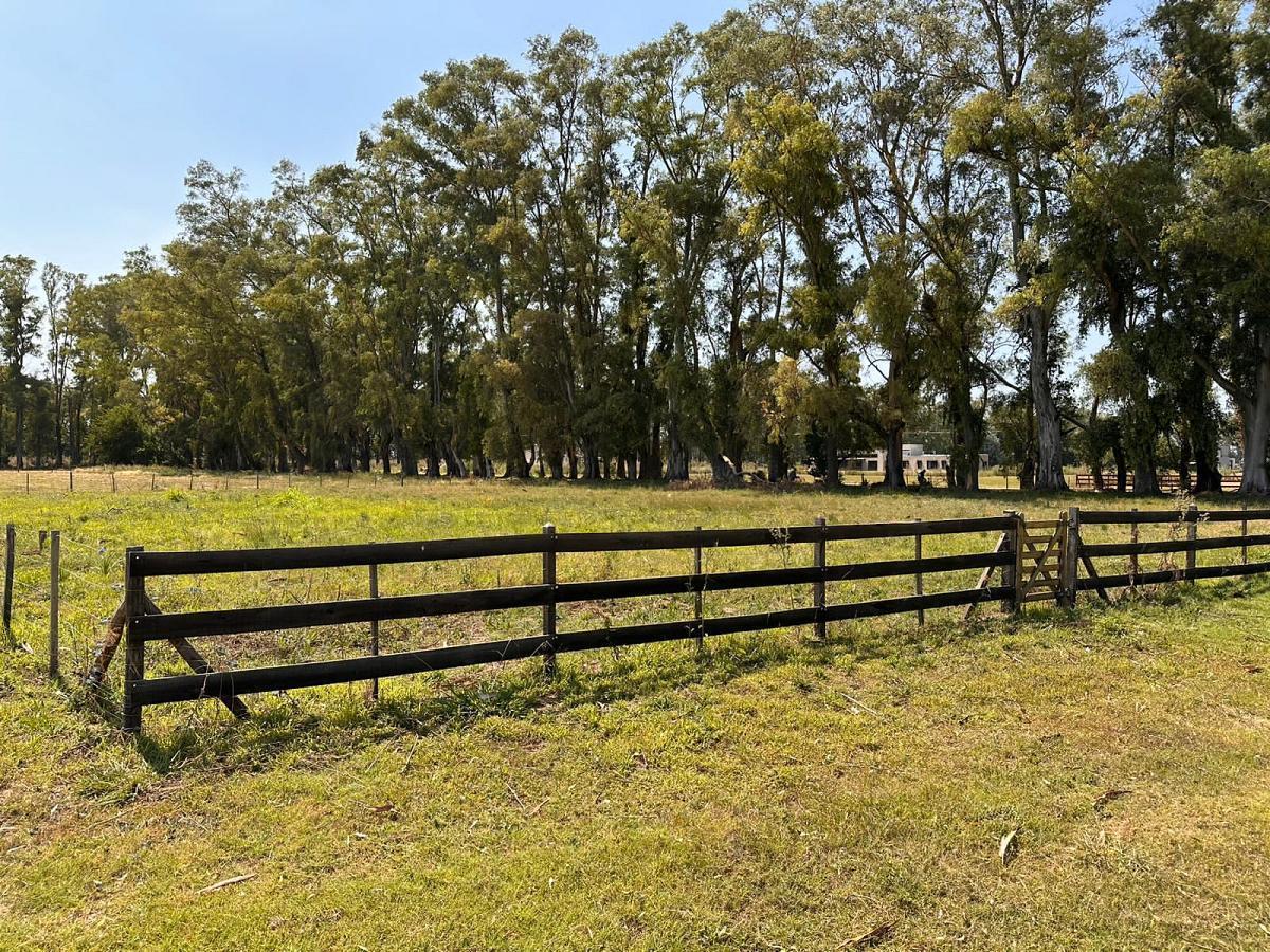 Foto de Venta lote Chacras San Andrés Villa Ruiz San Andrés de Giles General, imagen 5