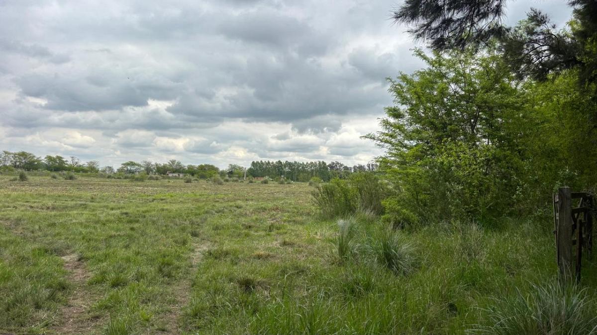 Foto de excelente fraccion en venta de 5 ha en Manzanares, imagen 5