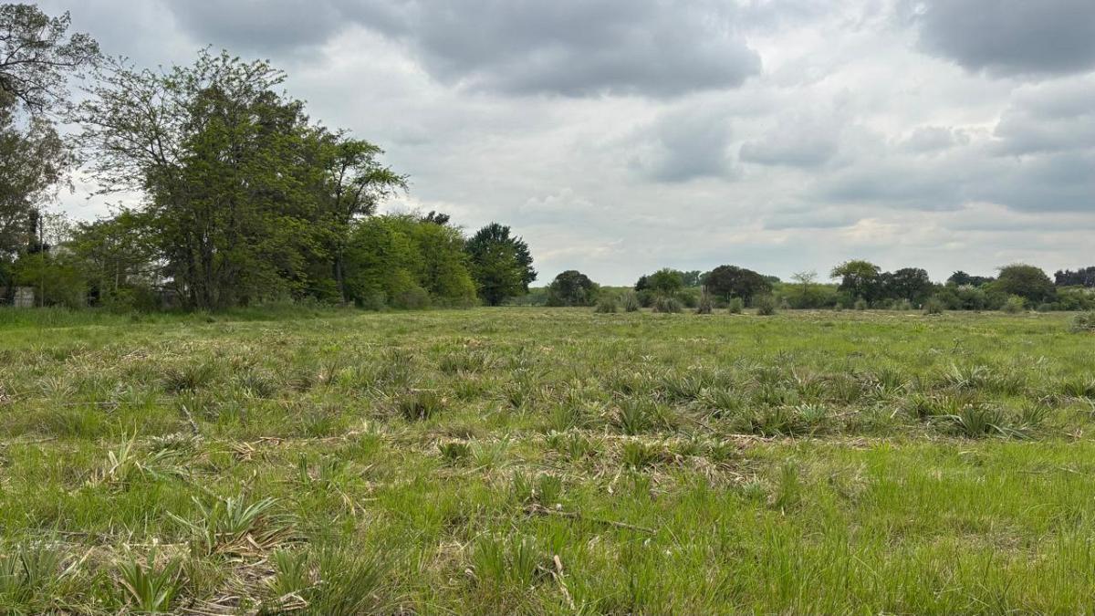 Foto de excelente fraccion en venta de 5 ha en Manzanares, imagen 3