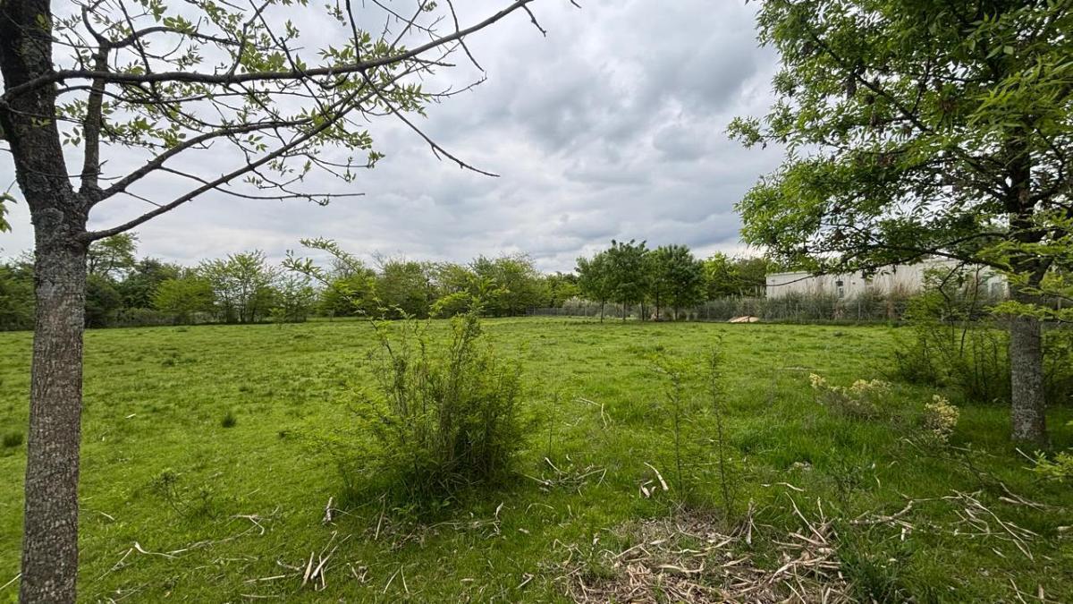 Foto de Excente lote en venta en manzanares, imagen 5