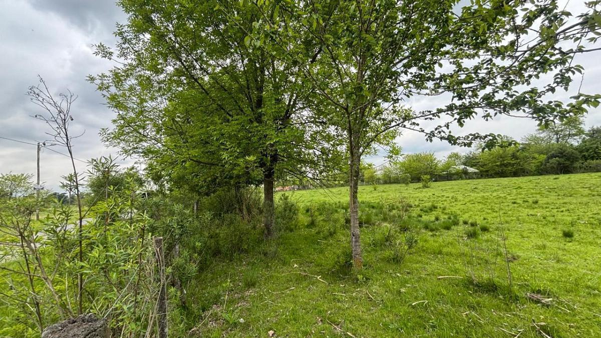 Foto de Excente lote en venta en manzanares, imagen 2