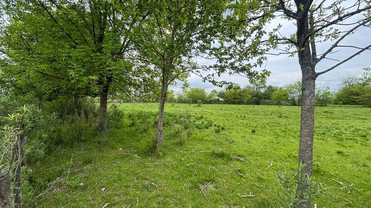 Foto de Excente lote en venta en manzanares, imagen 4