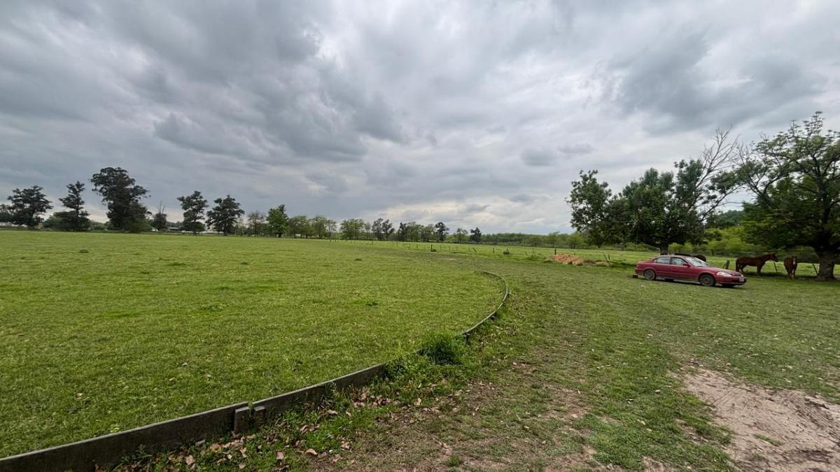 Foto de Excelente fraccion en venta de 10 ha en Manzanares, imagen 5
